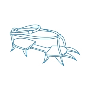 Кошки